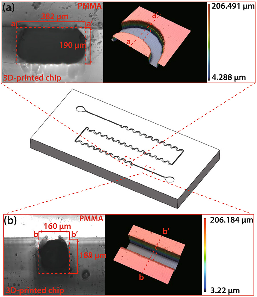 명지대학교 기계시스템공학부 학부생, 국제 저명 학술지 BioChip Journal 제1저자 논문 게재 대표이미지