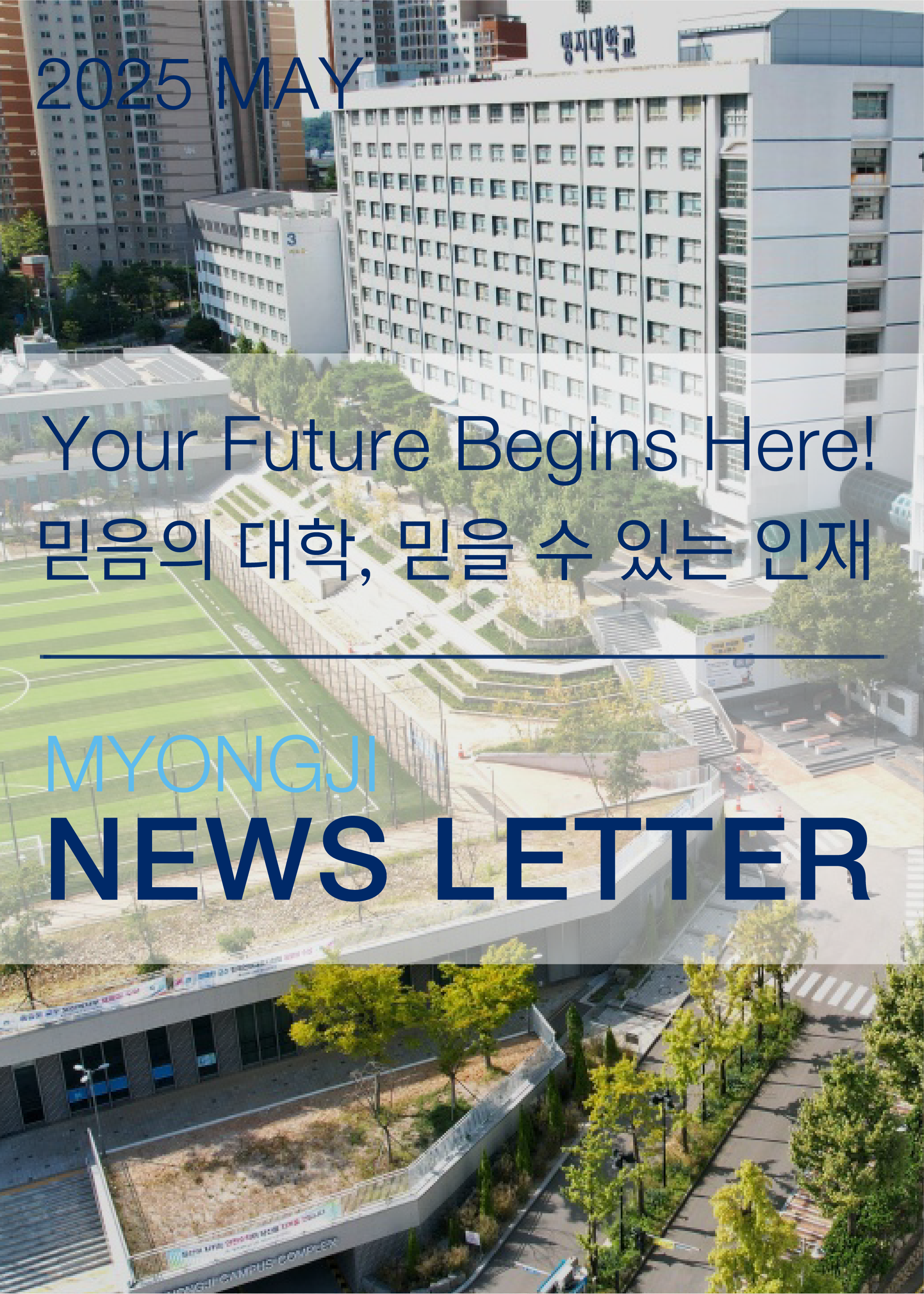 뉴스레터